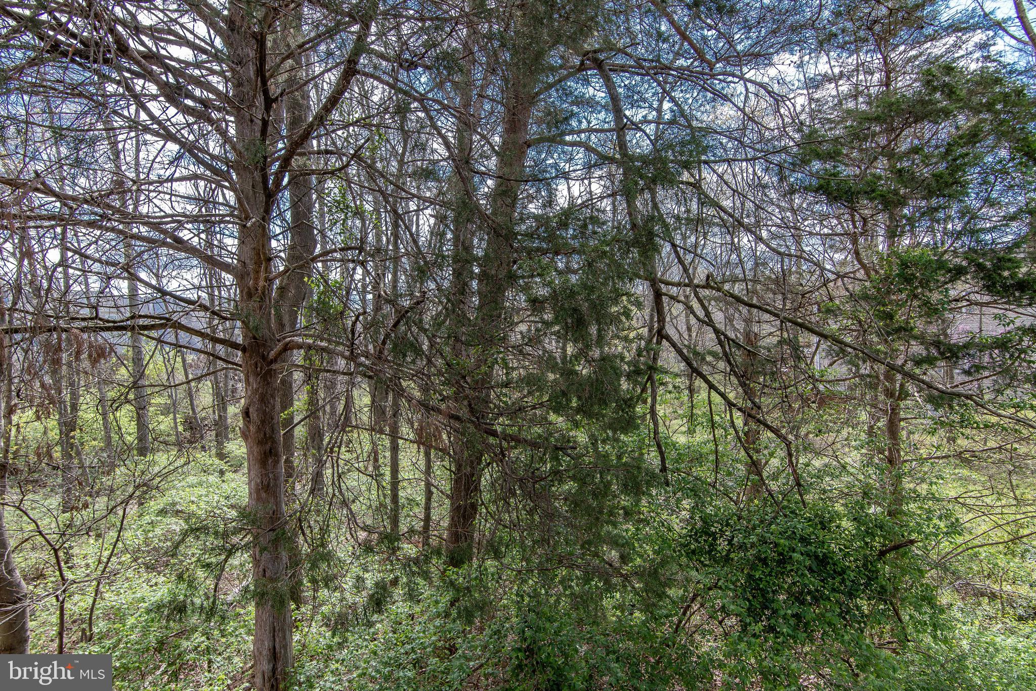 FRANKLIN GLEN - Residential Lease