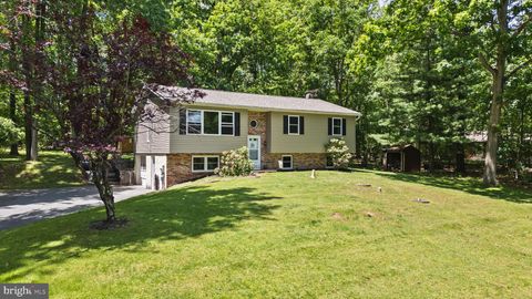 Photo of 129 Beechwood Drive, BIRDSBORO, PA 19508 (MLS # PABK2072922)