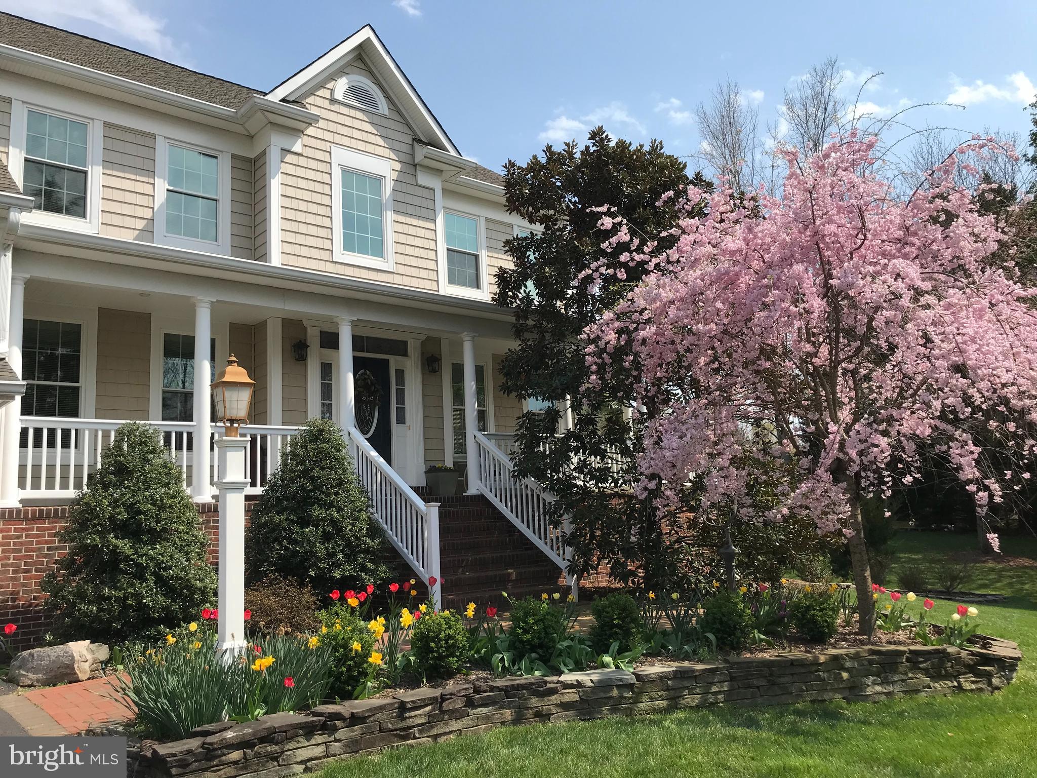 REGULARS - Residential