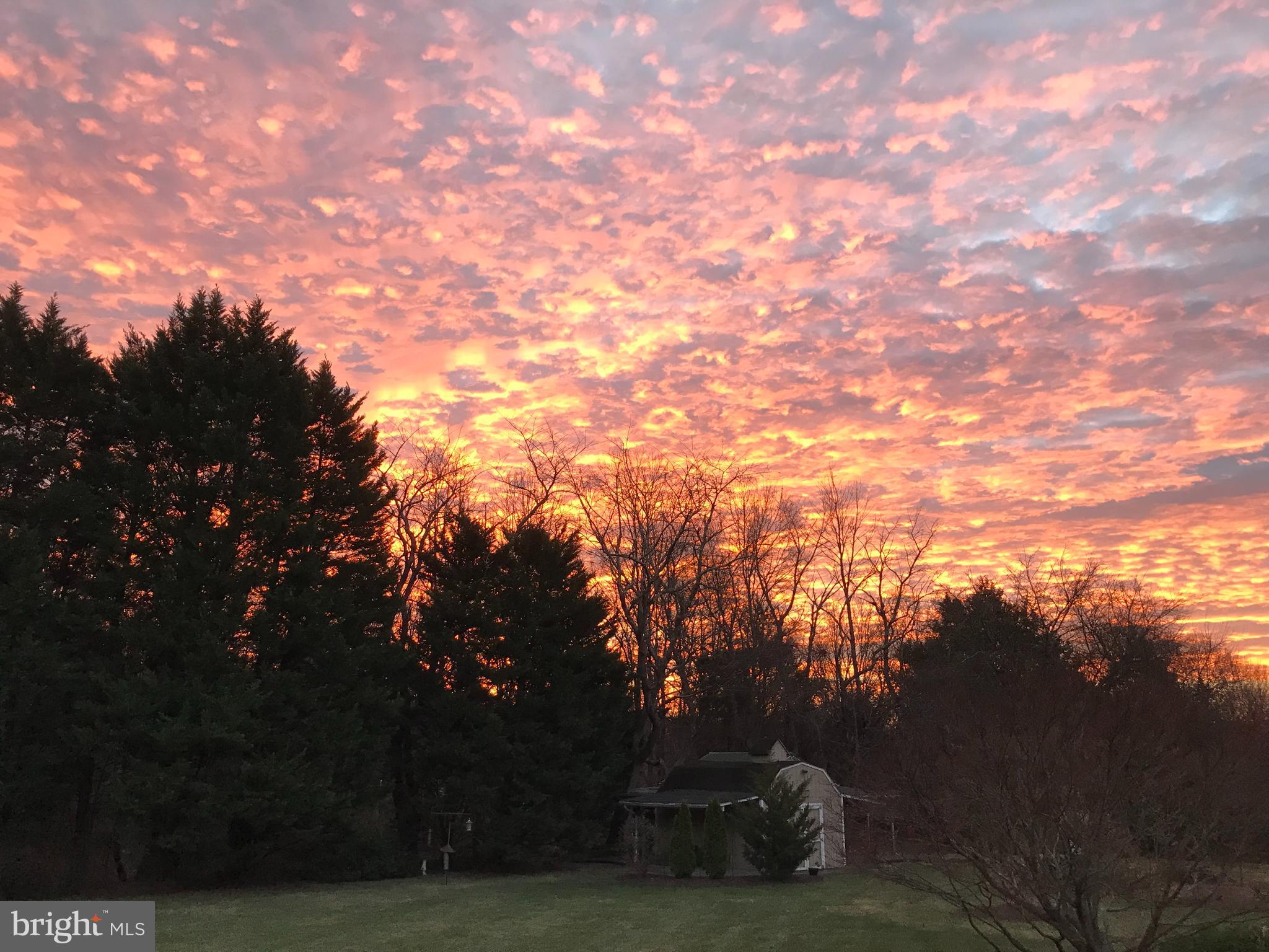 REGULARS - Residential