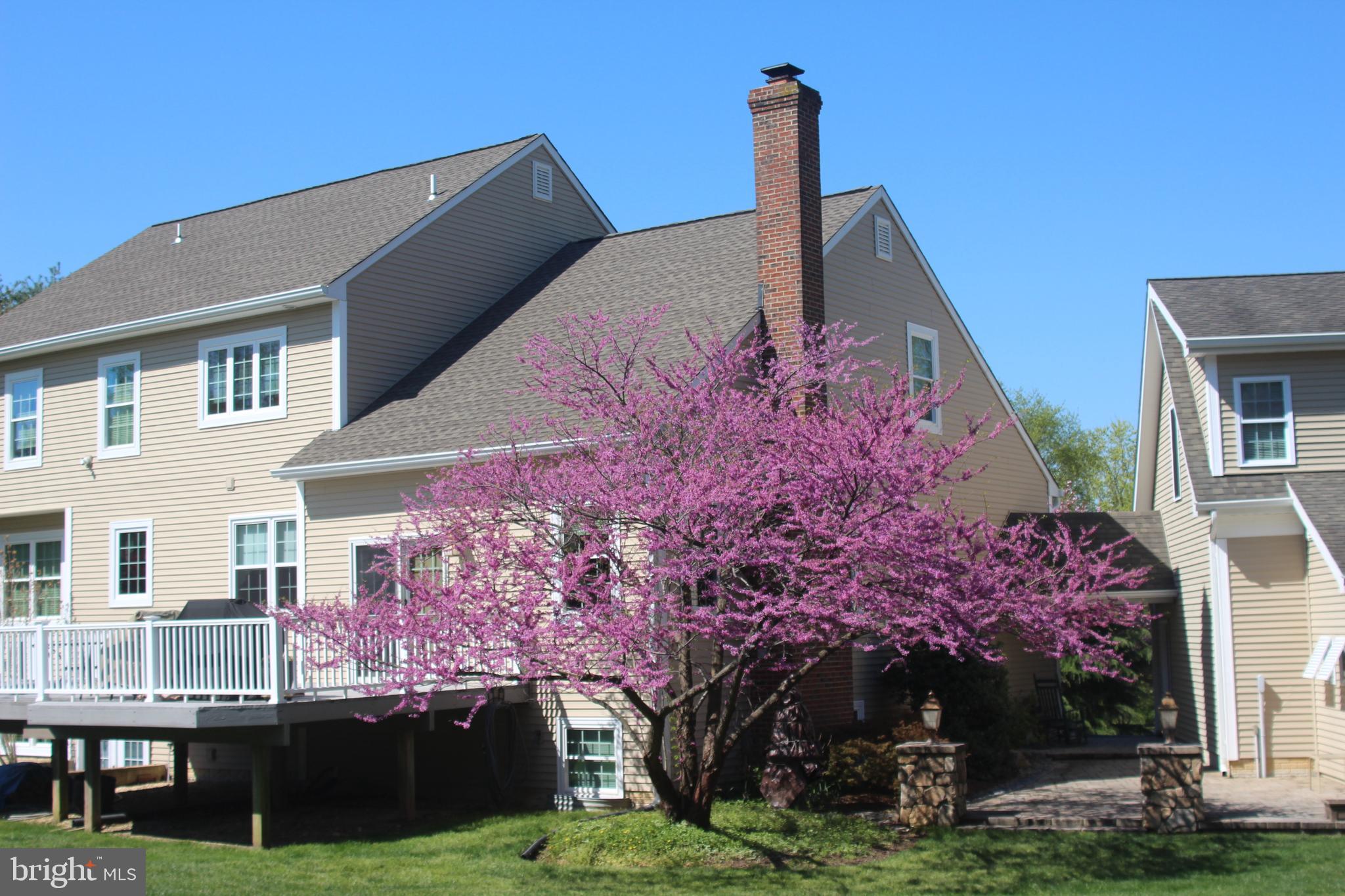 REGULARS - Residential