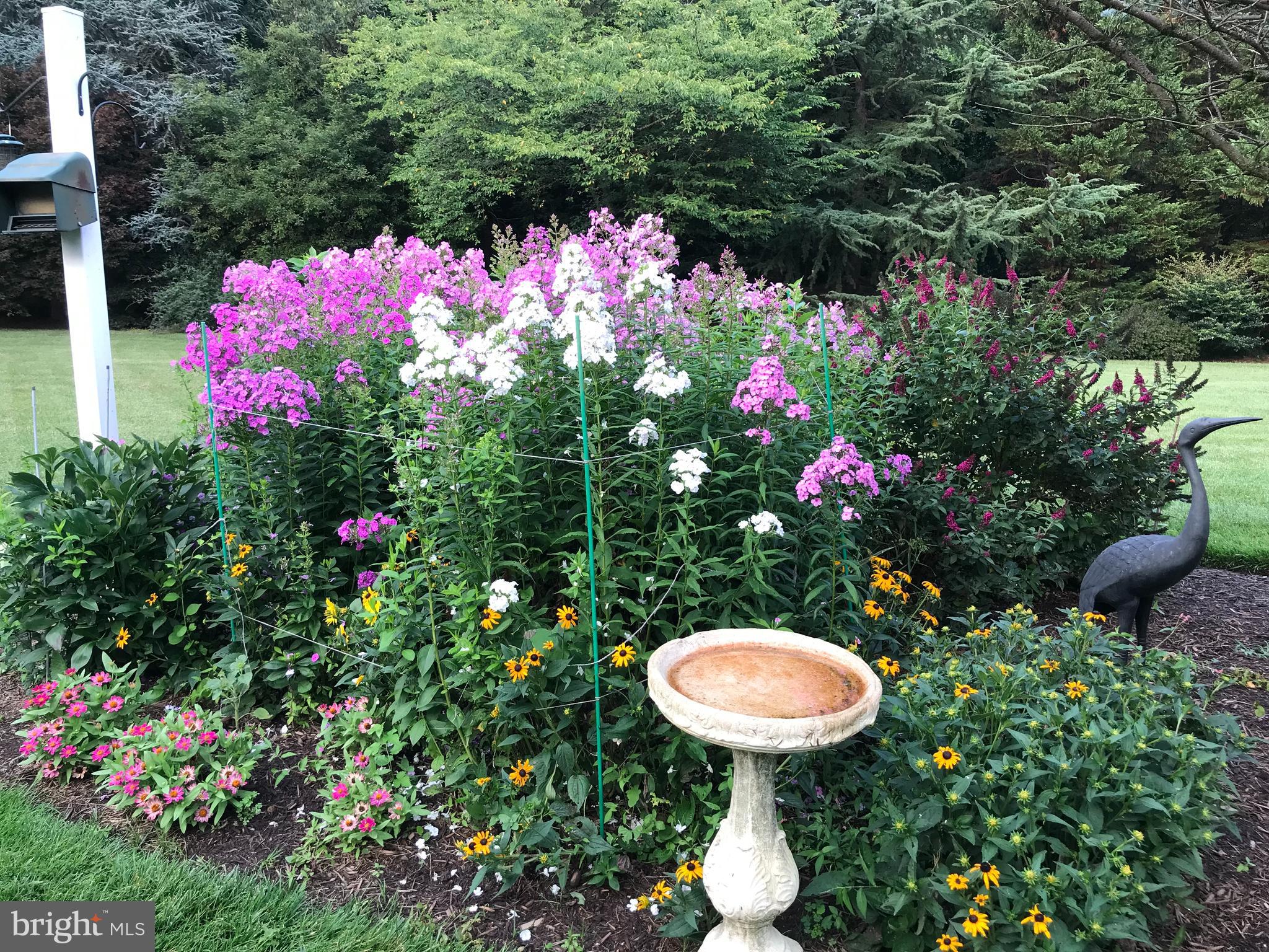 REGULARS - Residential