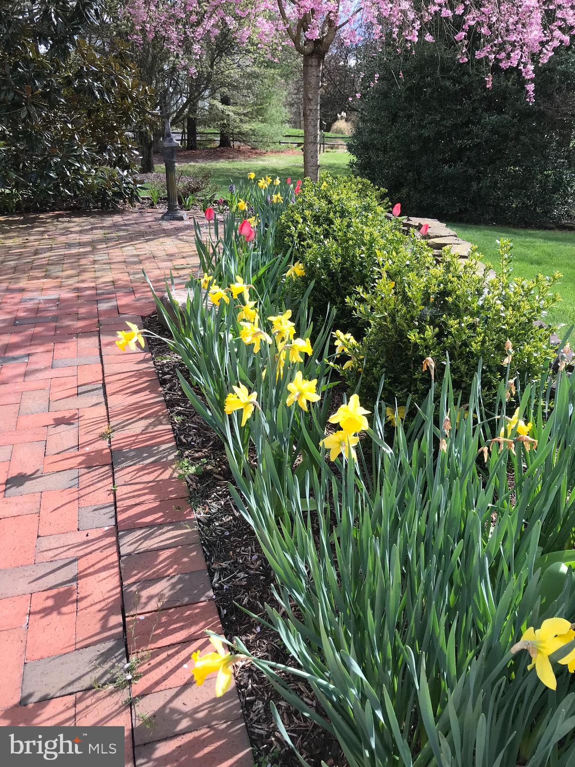 REGULARS - Residential