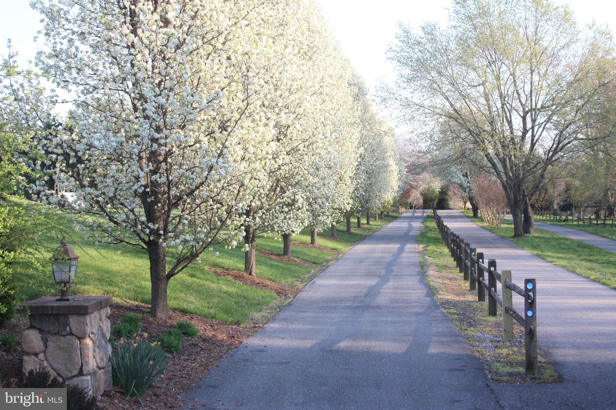 REGULARS - Residential