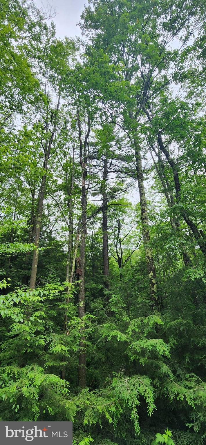 TIMBERS ON THE YOUGH - Land