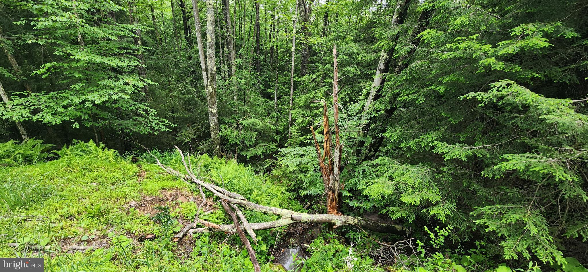 TIMBERS ON THE YOUGH - Land