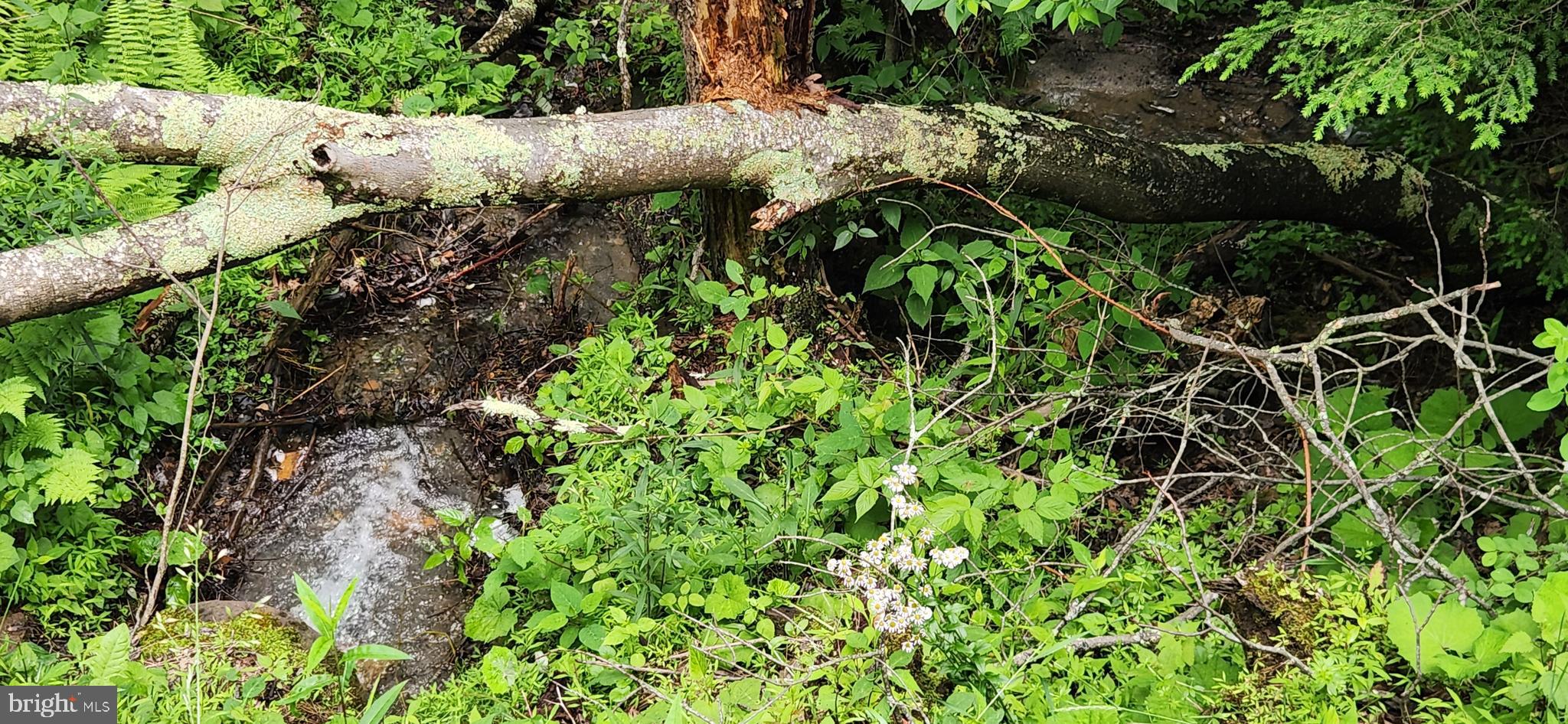 TIMBERS ON THE YOUGH - Land