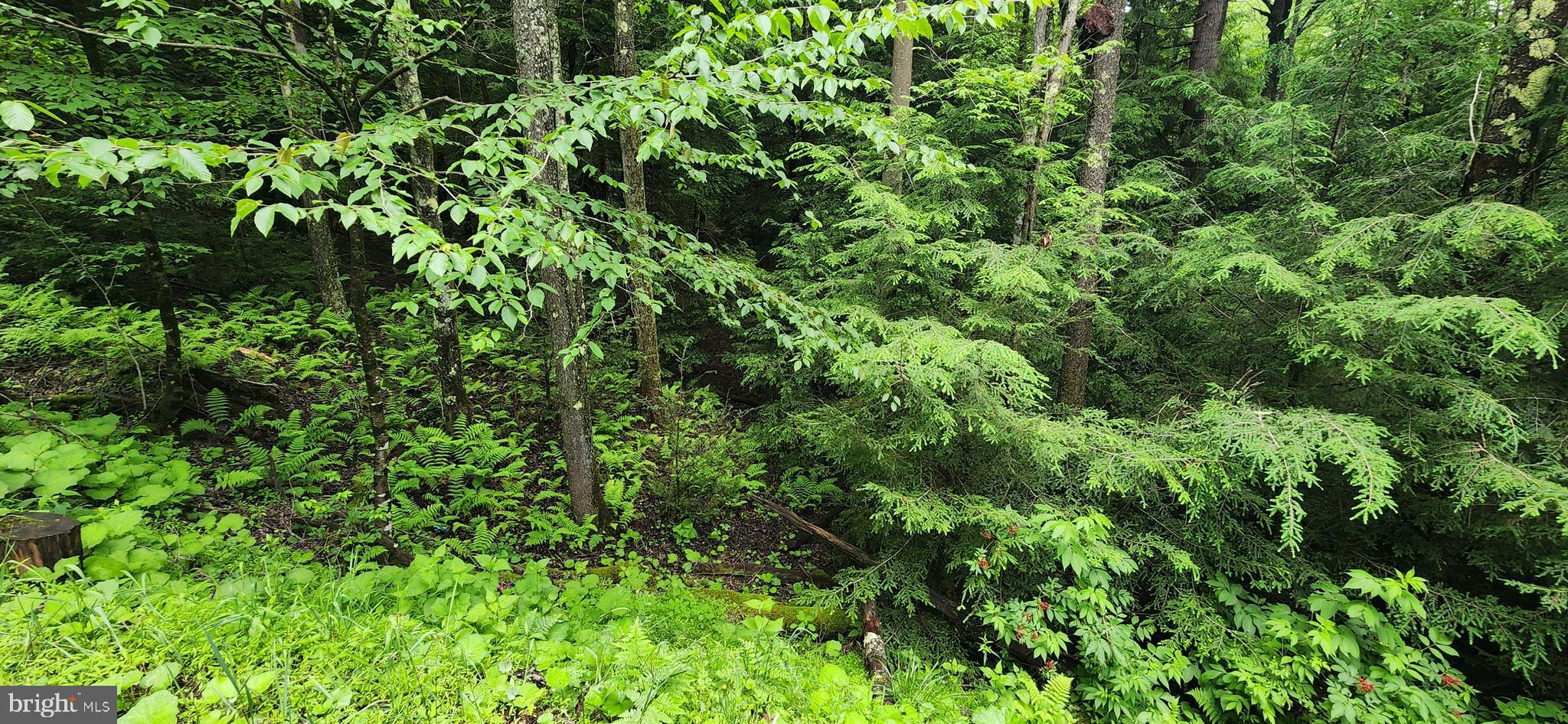 TIMBERS ON THE YOUGH - Land