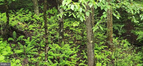 Vacant Land For Sale - Yough View Drive #12<br/> OAKLAND, MD 21550