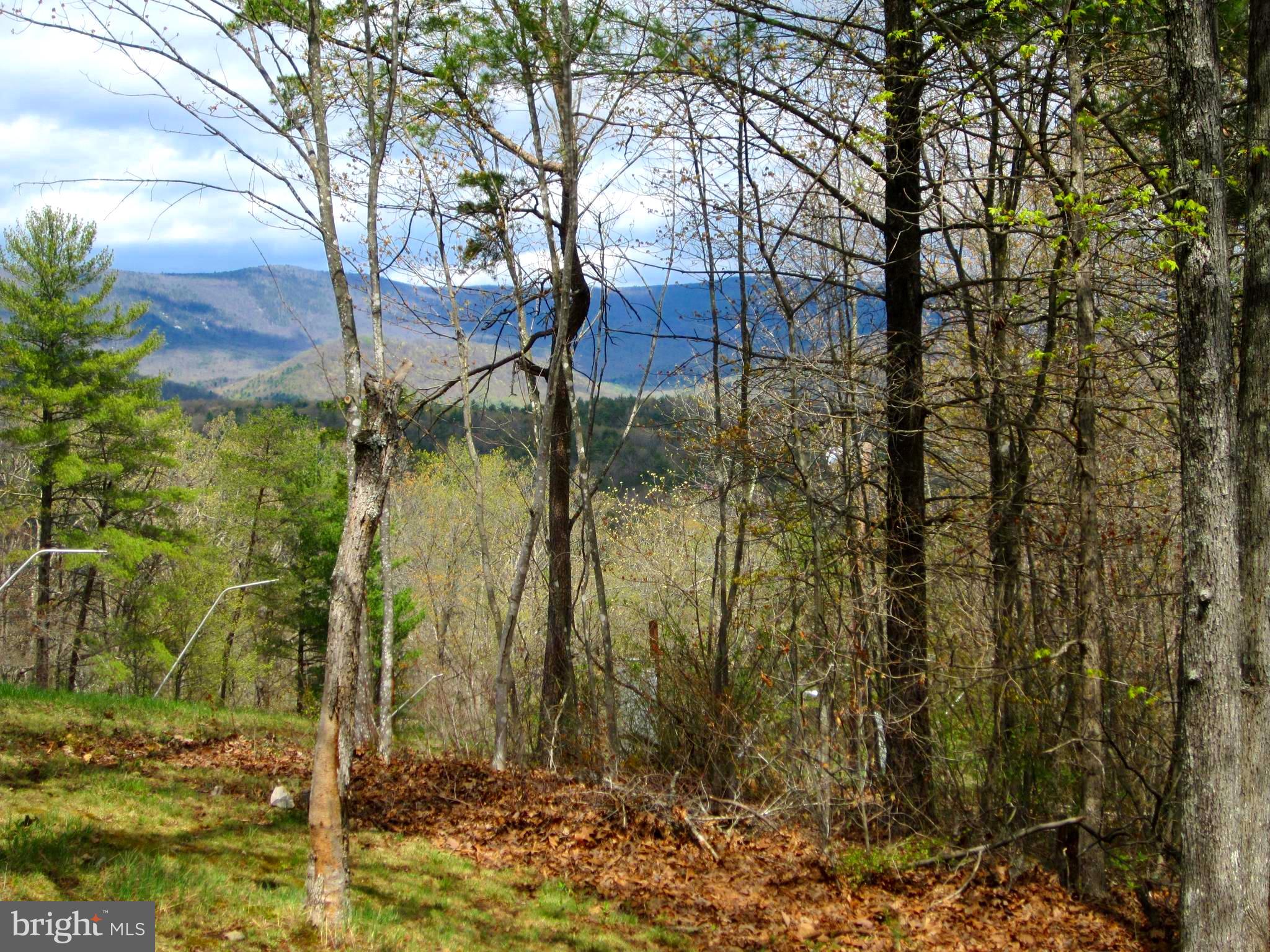 BRYCE  MOUNTAIN - Residential
