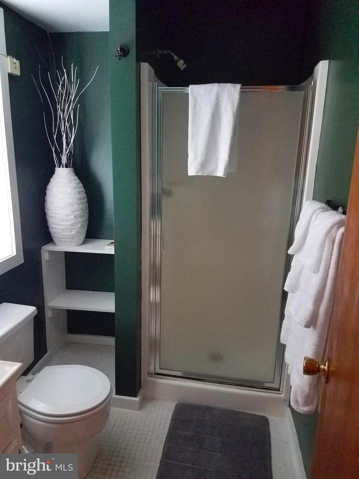 BRYCE  MOUNTAIN - Residential