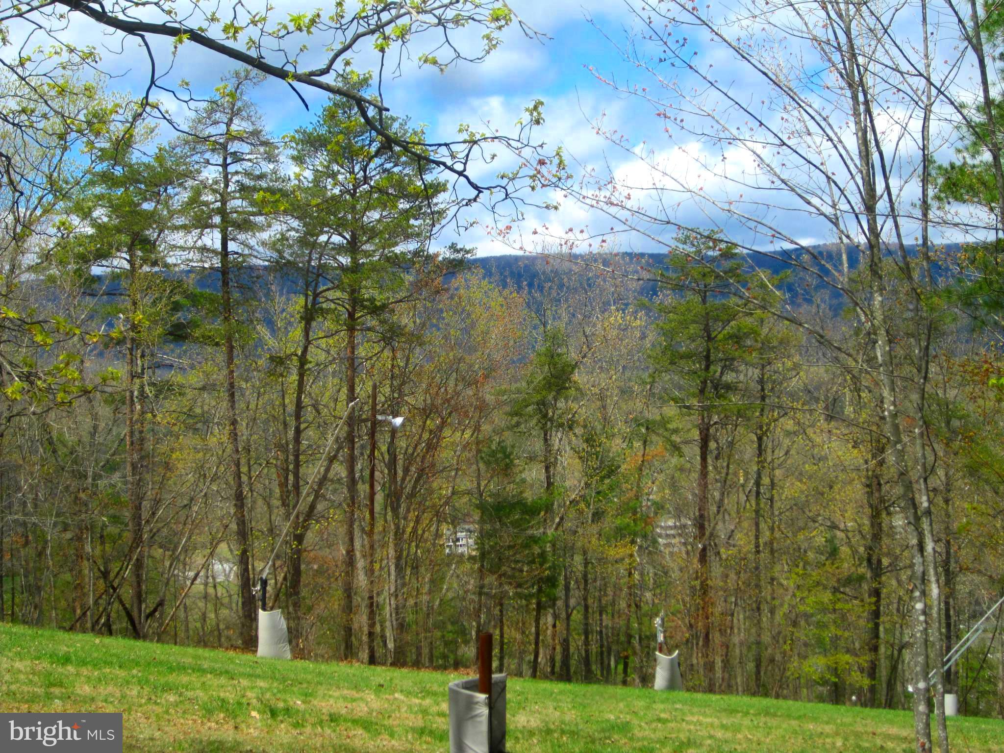 BRYCE  MOUNTAIN - Residential