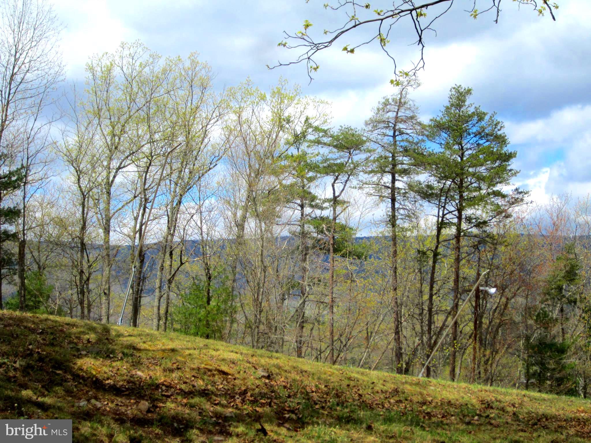 BRYCE  MOUNTAIN - Residential