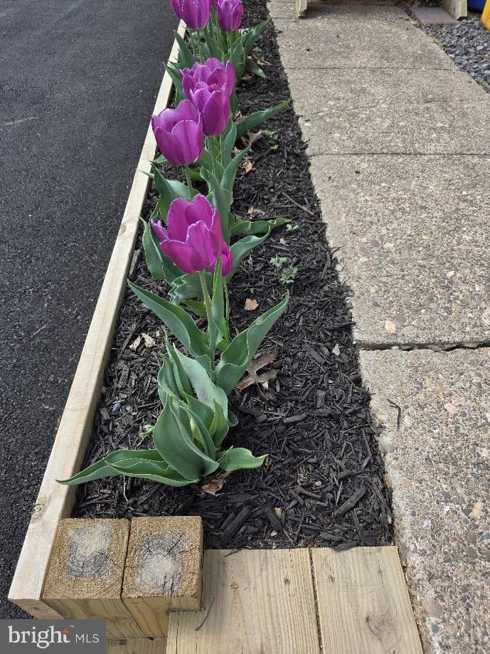 320 E ROOSEVELT AVENUE