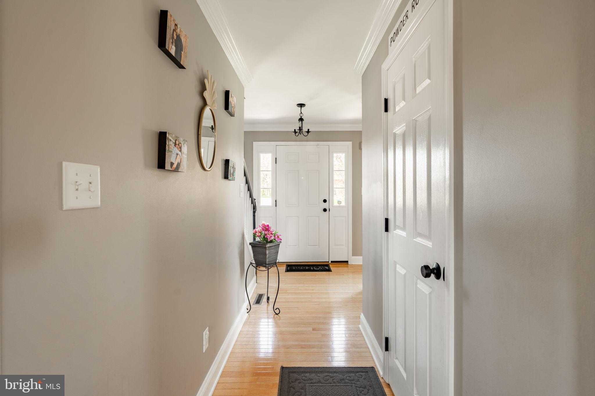 533 SPRING HOLLOW DRIVE