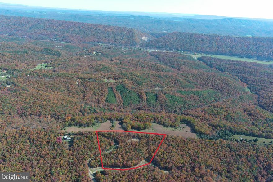 WHERE'S THE BEEF? IF YOU'VE BEEN SEARCHING FOR PROPERTY WITH A PRIME RIB VIEW ON A SIRLION BUDGET.....IT'S TIME TO EAT! 10 PRIVATE WOODED ACRES WITH DRIVEWAY INSTALLED TO CLEARED CAMP/BUILD SITE AND ELEVATED AT 1150 FT, OFFERING INCREDIBLE LONG RANGE MOUNTAIN VIEWS AND FACING DUE WEST FOR SPECTACULAR SUNSETS. WHAT A PEACEFUL SETTING, BOUNDED TO THE EAST BY A MOUNTAIN TOP FARM WITH ANCIENT OAKS ALONG THE PROPERTY LINE. THE LAND IS COVERED IN HARDWOODS AND SLOPES GENTLY FROM TOP TO BOTTOM.....EASY TO GET TO BUT HARD TO FIND. HUNT, CAMP, SHOOT OR BUILD YOUR TROPHY HOME OR CABIN. I DARE YOU TO FIND 10 ACRES WITH A VIEW LIKE THIS FOR LESS MONEY......WHY PAY 150K FOR A 20 ACRE LOT WITH THIS VIEW WHEN 10 ACRES WILL DO?