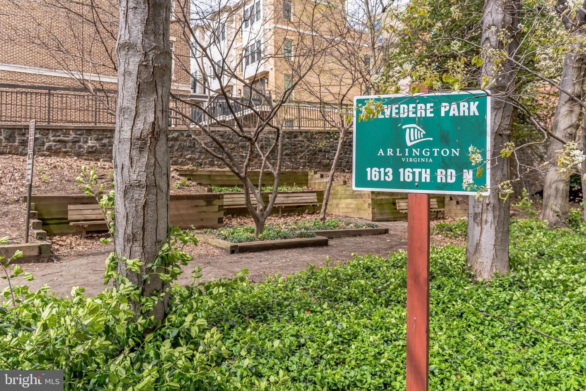 BELVEDERE CONDOMINIUM - Residential