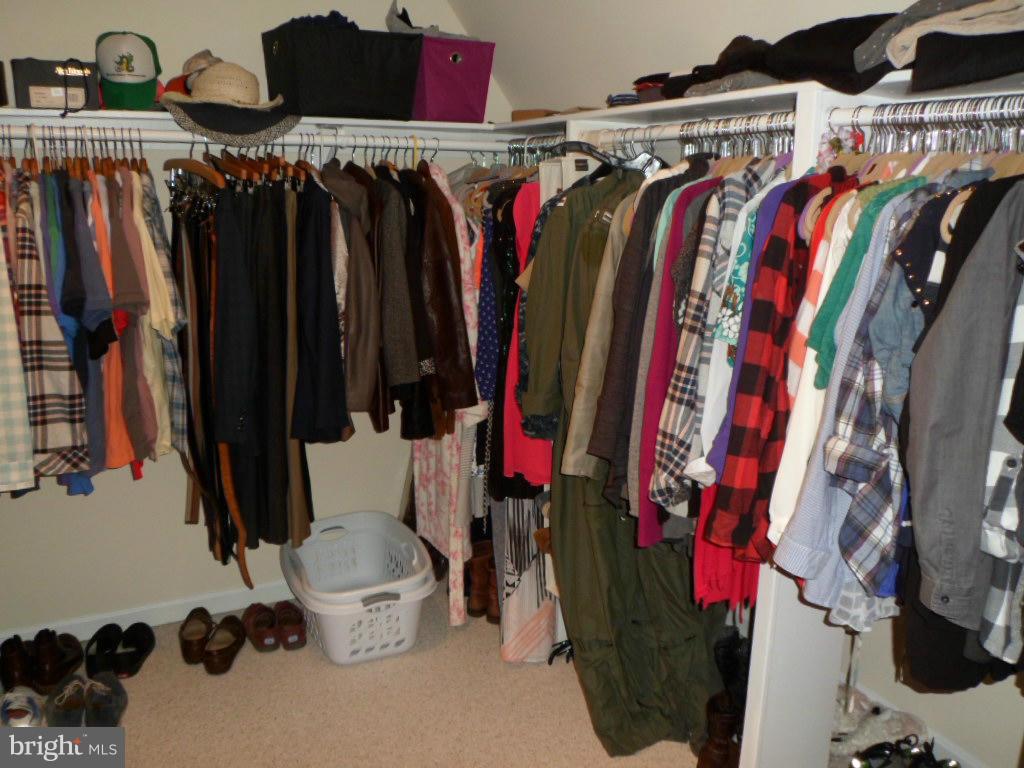 CEDAR COVE - Residential Lease