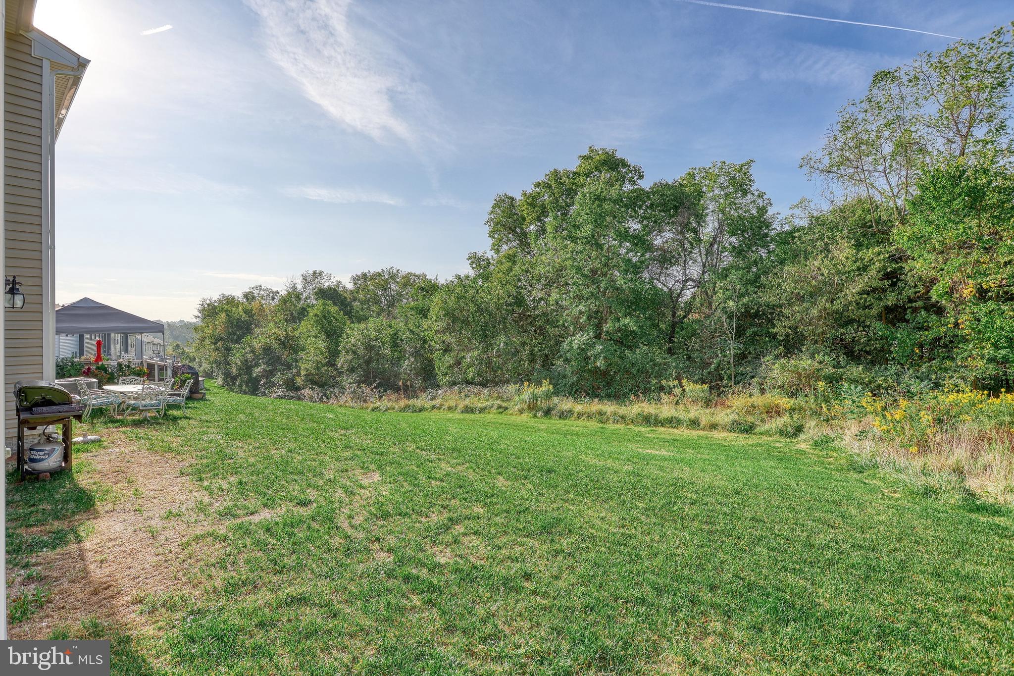 LOCUST RUN - Residential