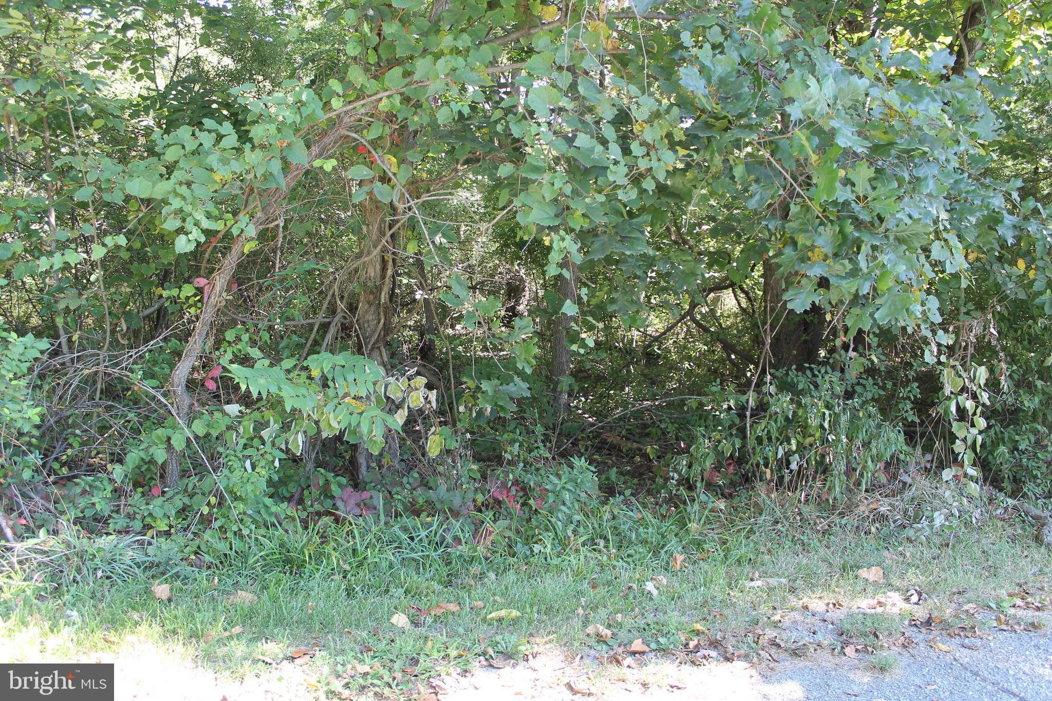 LIBERTY TOWNSHIP - Land