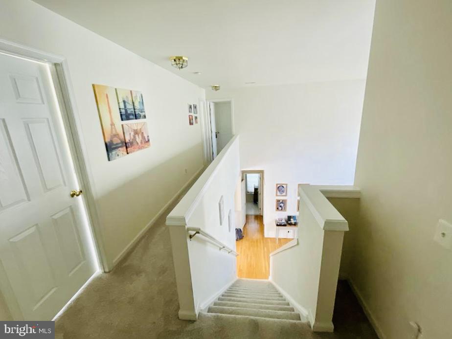 MONROE CHASE - Residential