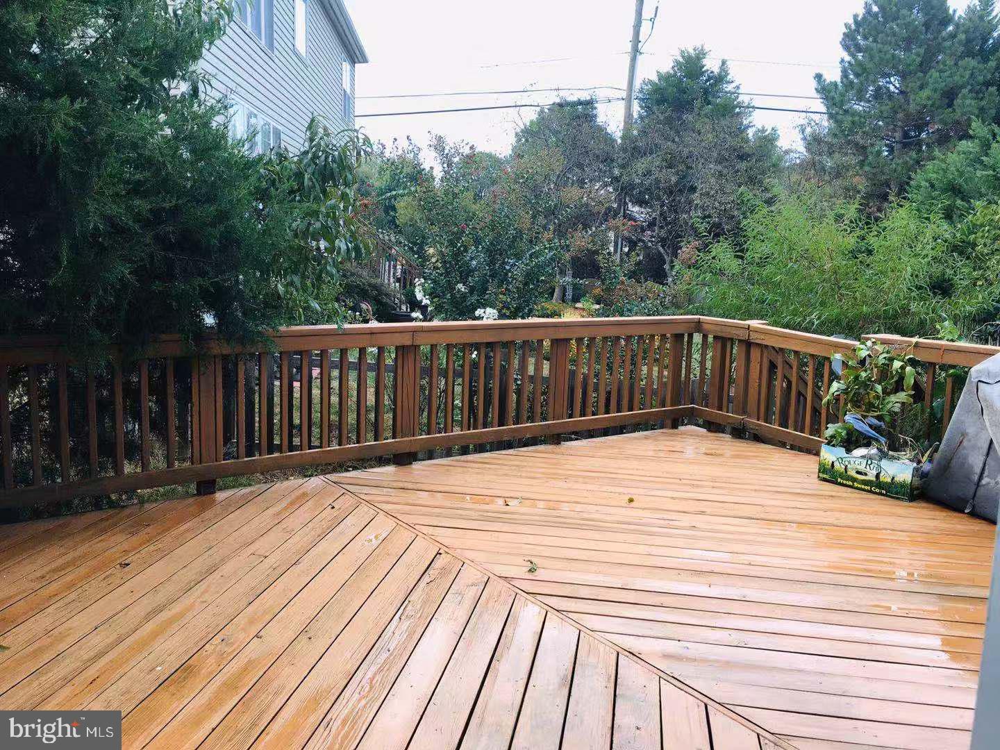 MONROE CHASE - Residential