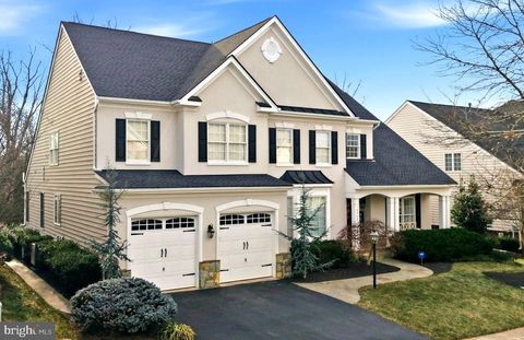 19468 MILL DAM PLACE LEESBURG VA 20176