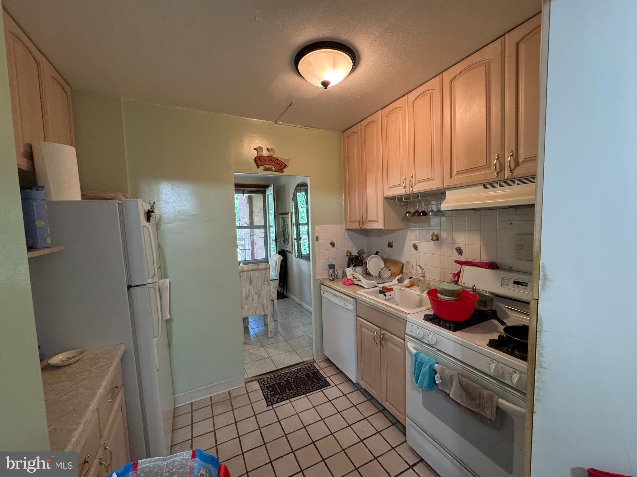 ELKINS PARK HOUSE - Residential