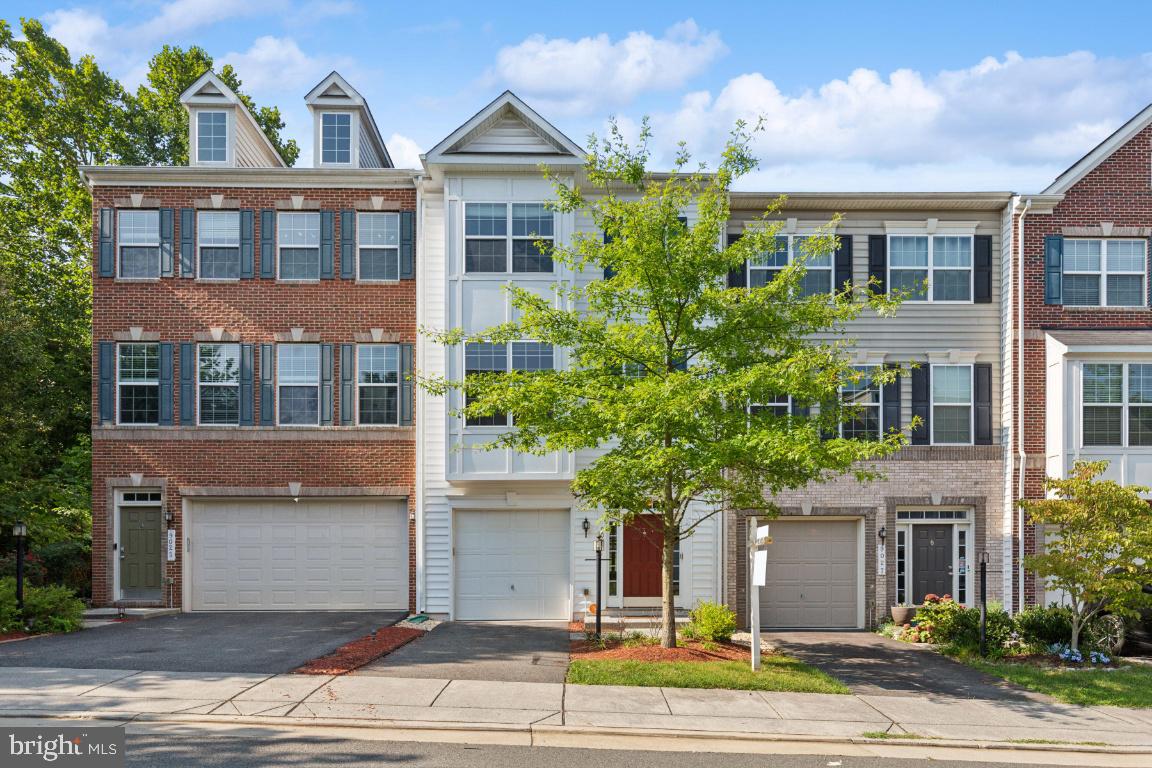 DOMINION CROSSING - Residential