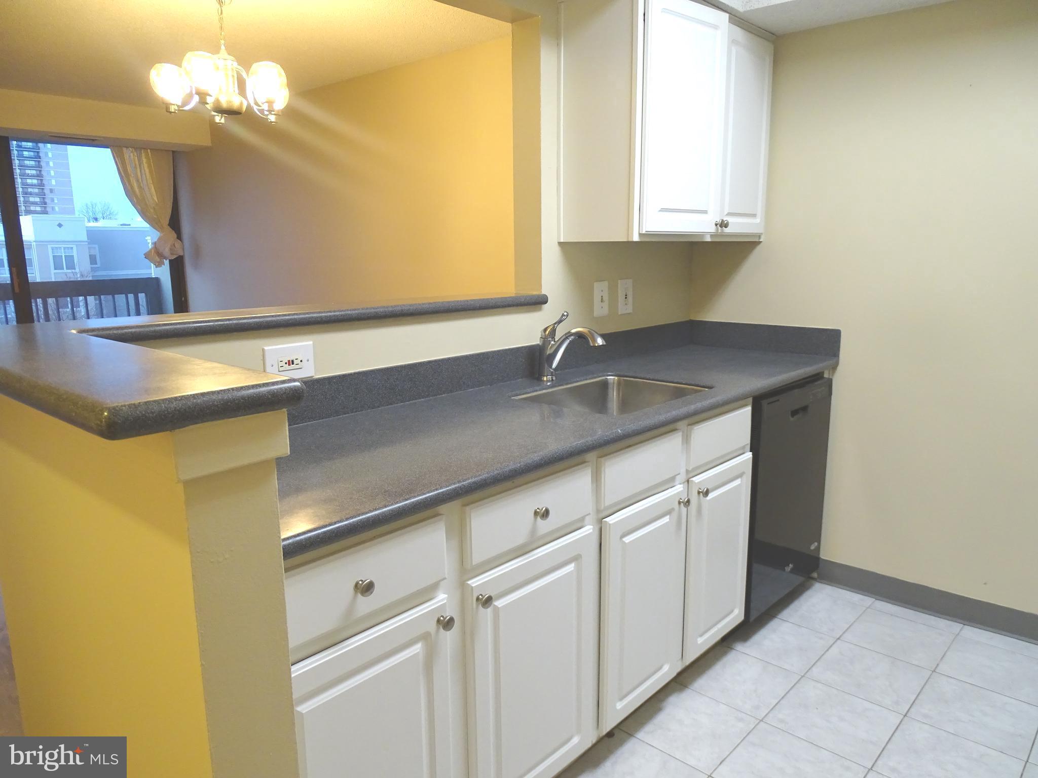 SKYLINE SQUARE CONDO - Residential Lease