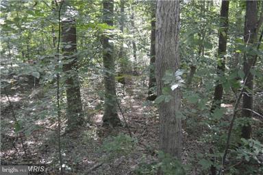 NONE AVAILABLE - Land