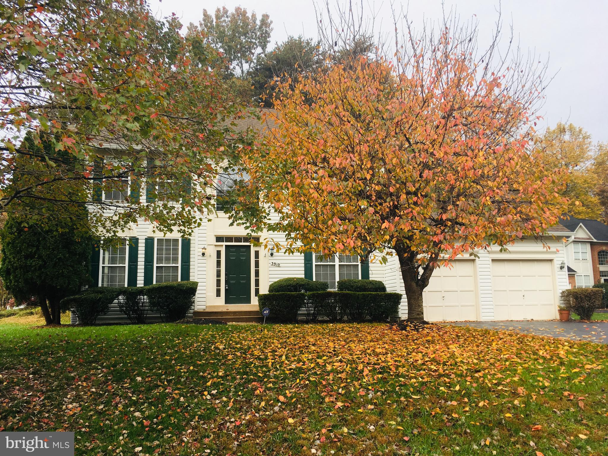 MEADOWS OF MINNIEVILLE - Residential