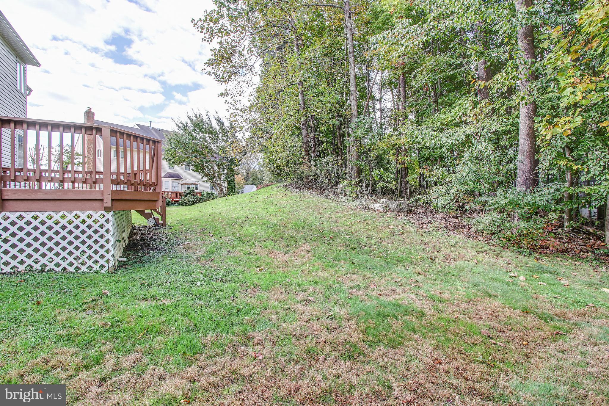 MEADOWS OF MINNIEVILLE - Residential