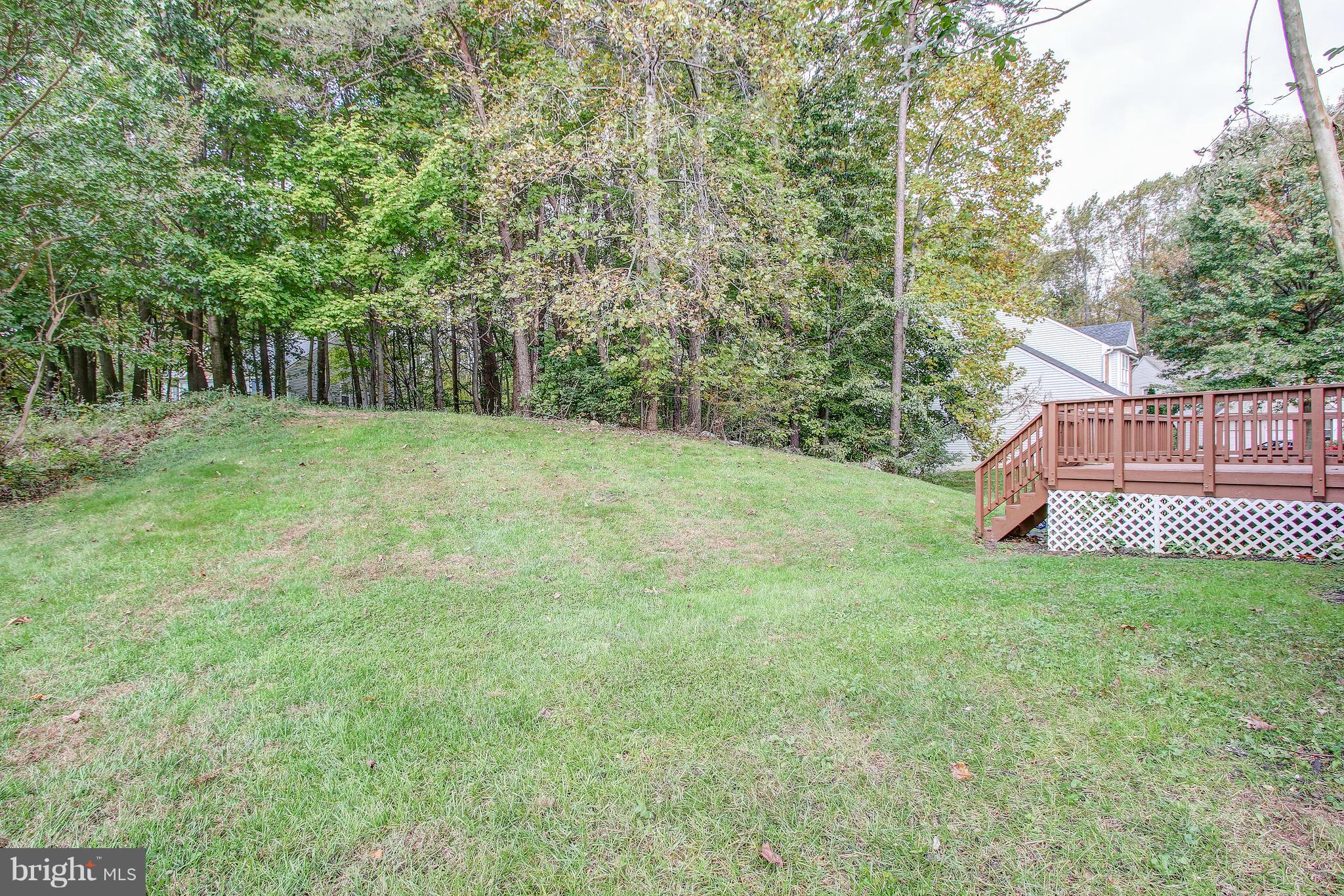 MEADOWS OF MINNIEVILLE - Residential