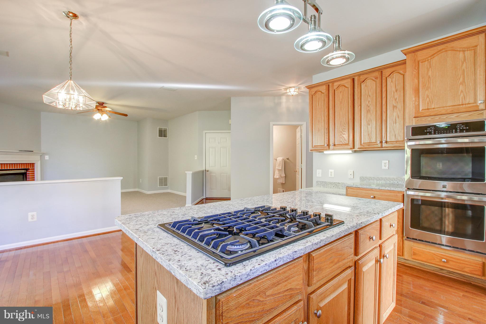 MEADOWS OF MINNIEVILLE - Residential