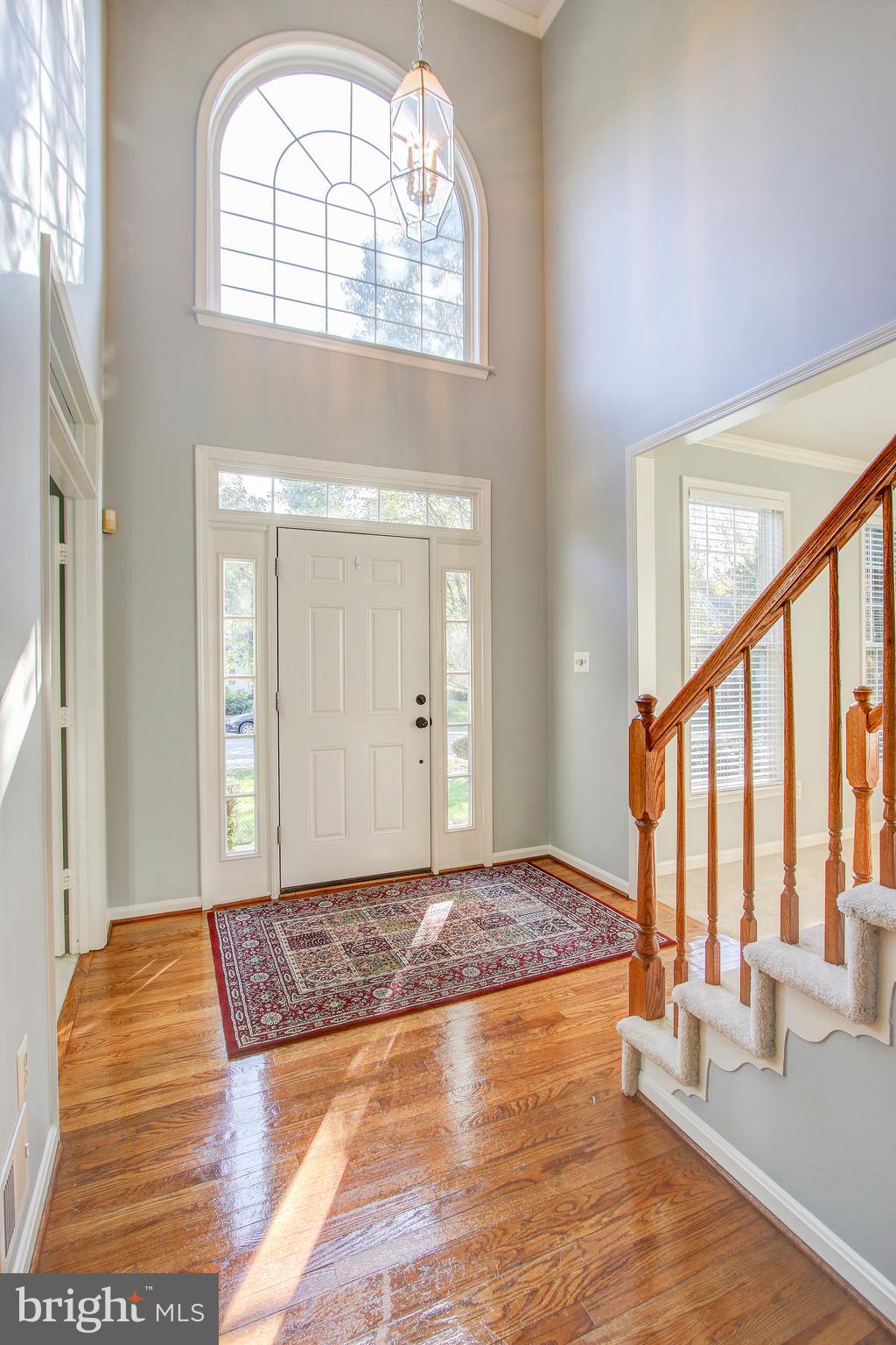 MEADOWS OF MINNIEVILLE - Residential