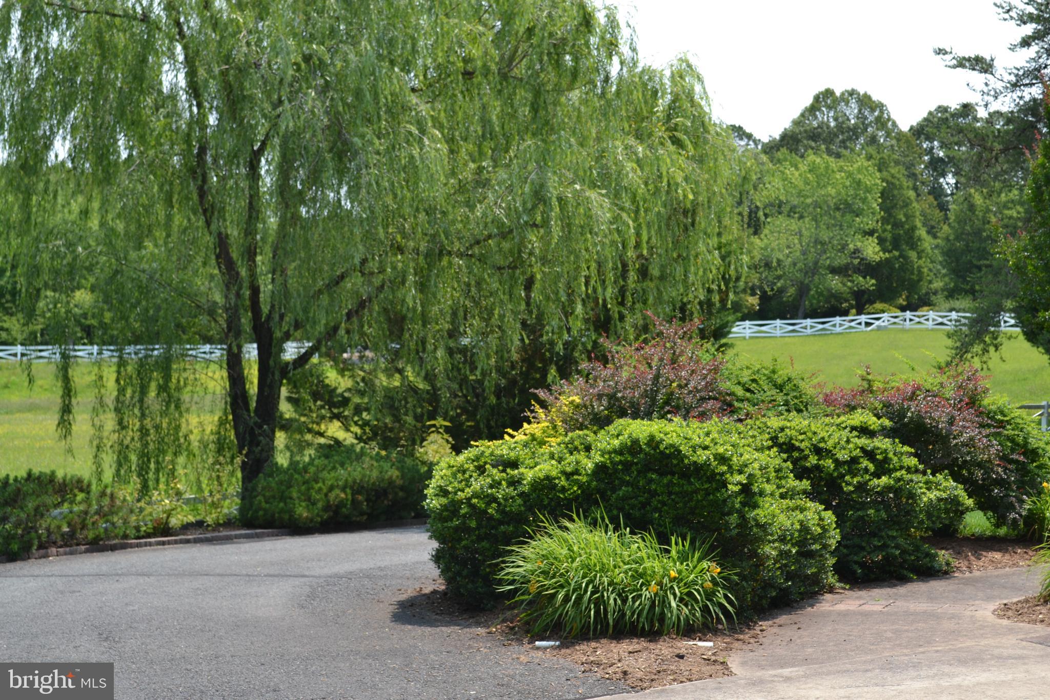 HEATHERSFIELD - Residential