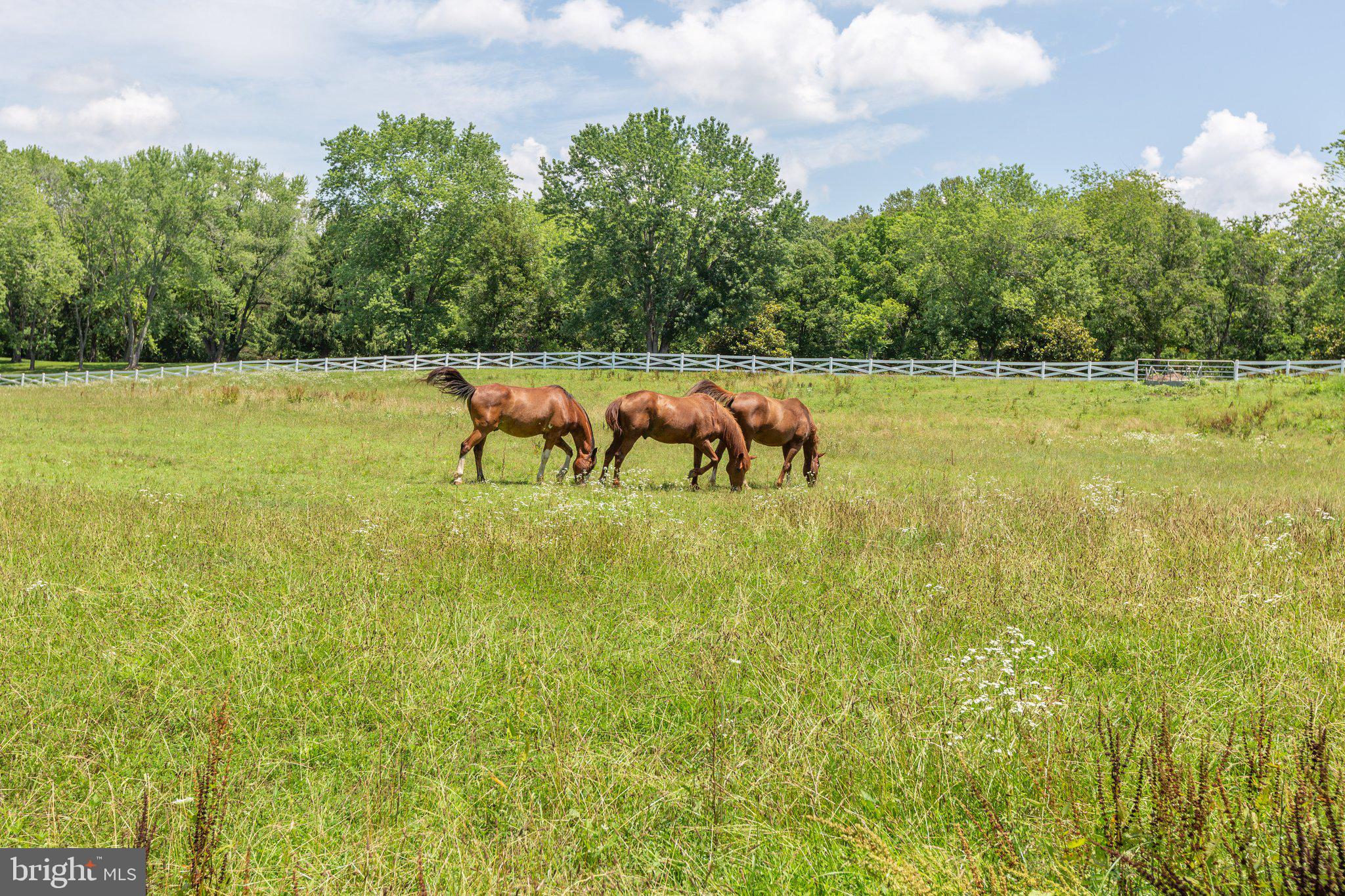 HEATHERSFIELD - Residential