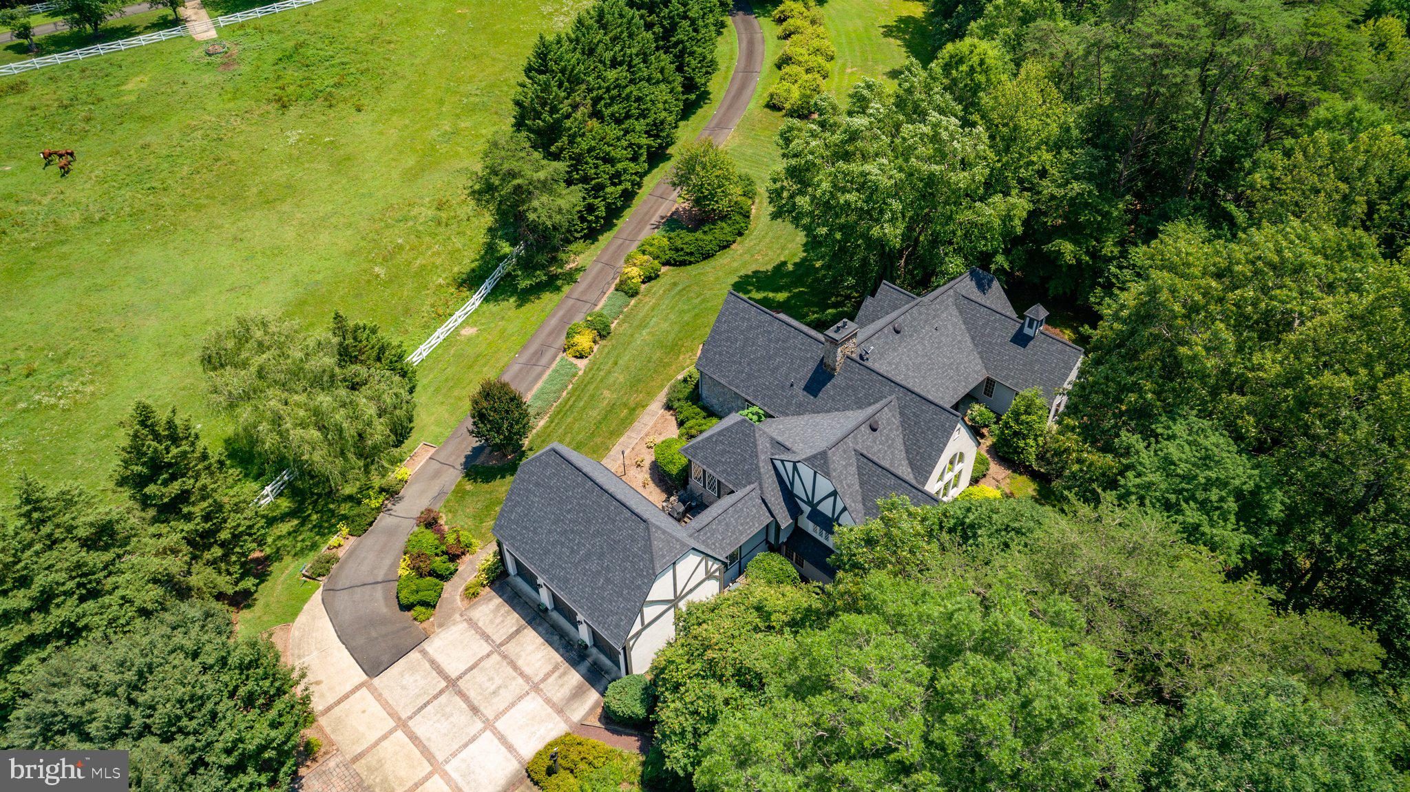 12520 PAIGE LANE