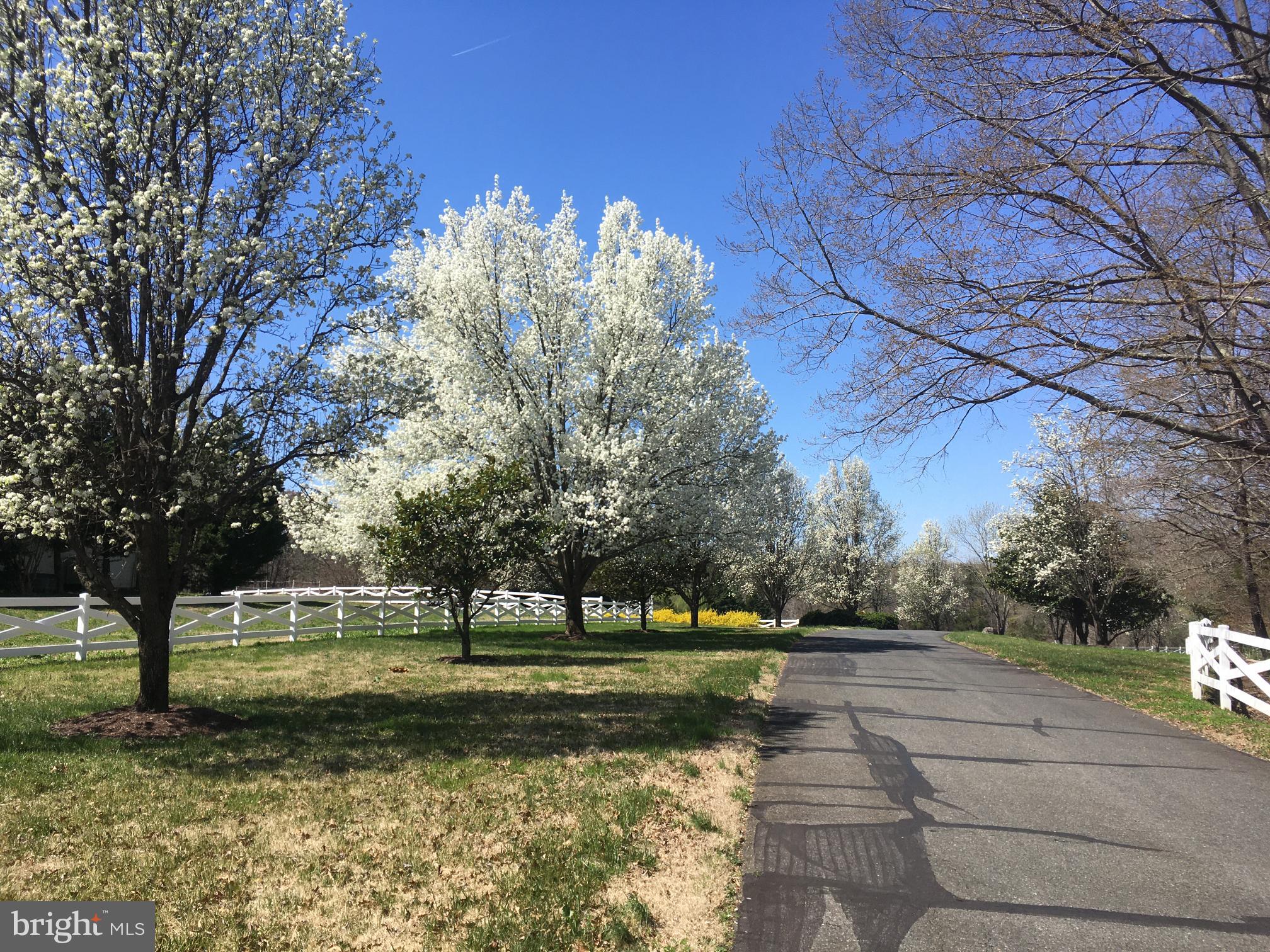 HEATHERSFIELD - Residential