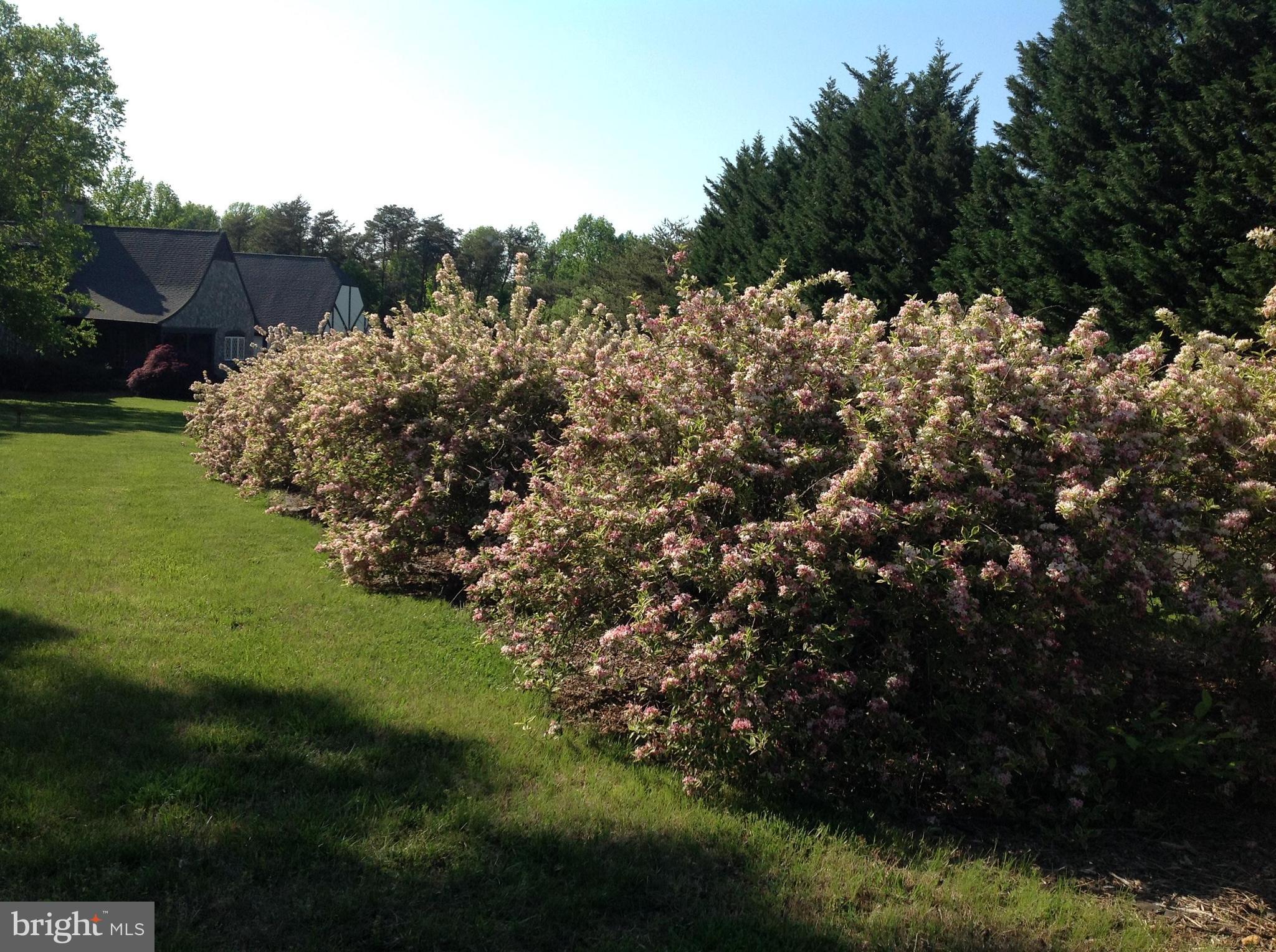 HEATHERSFIELD - Residential