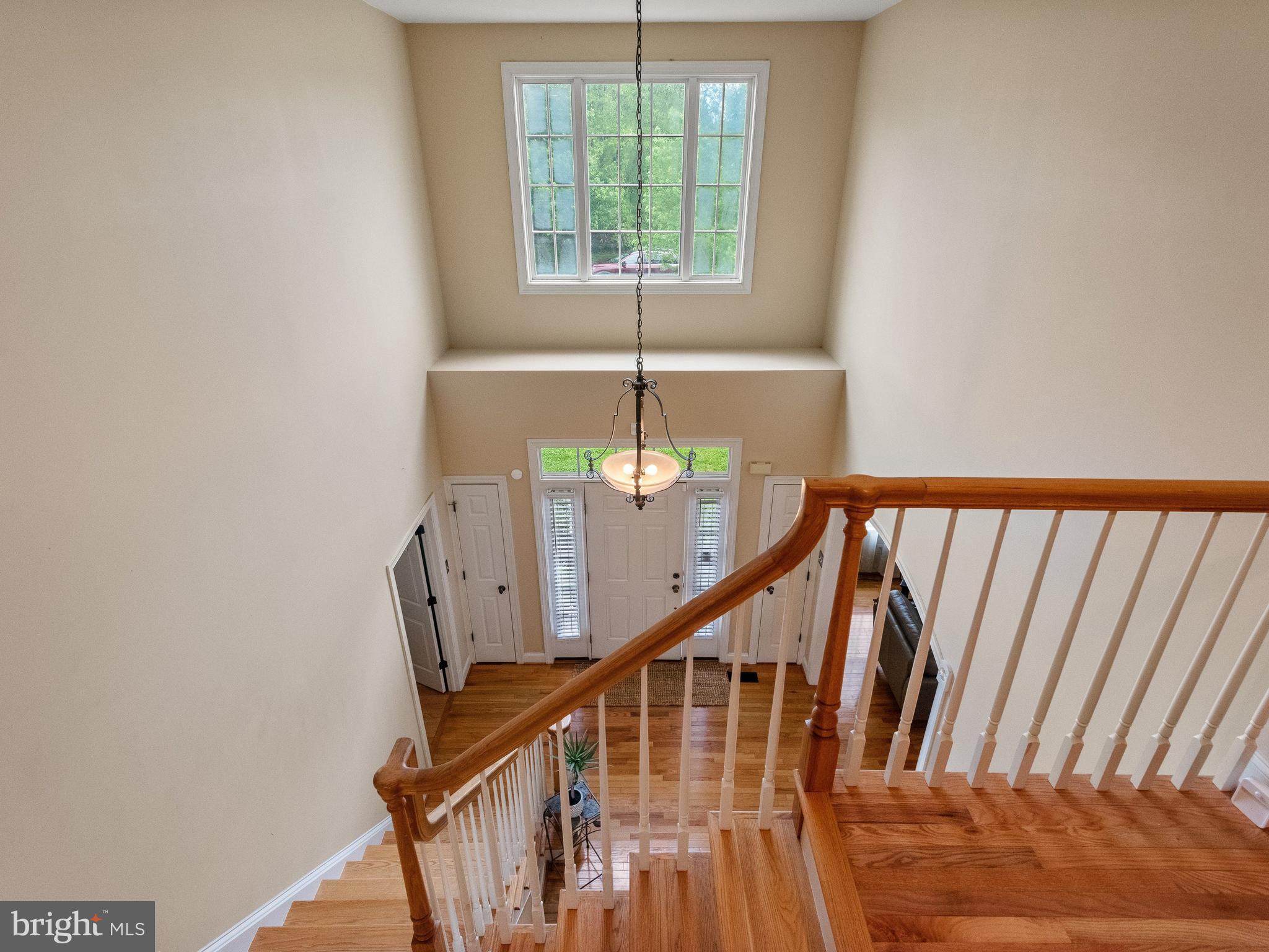 FRANKLIN CHASE - Residential