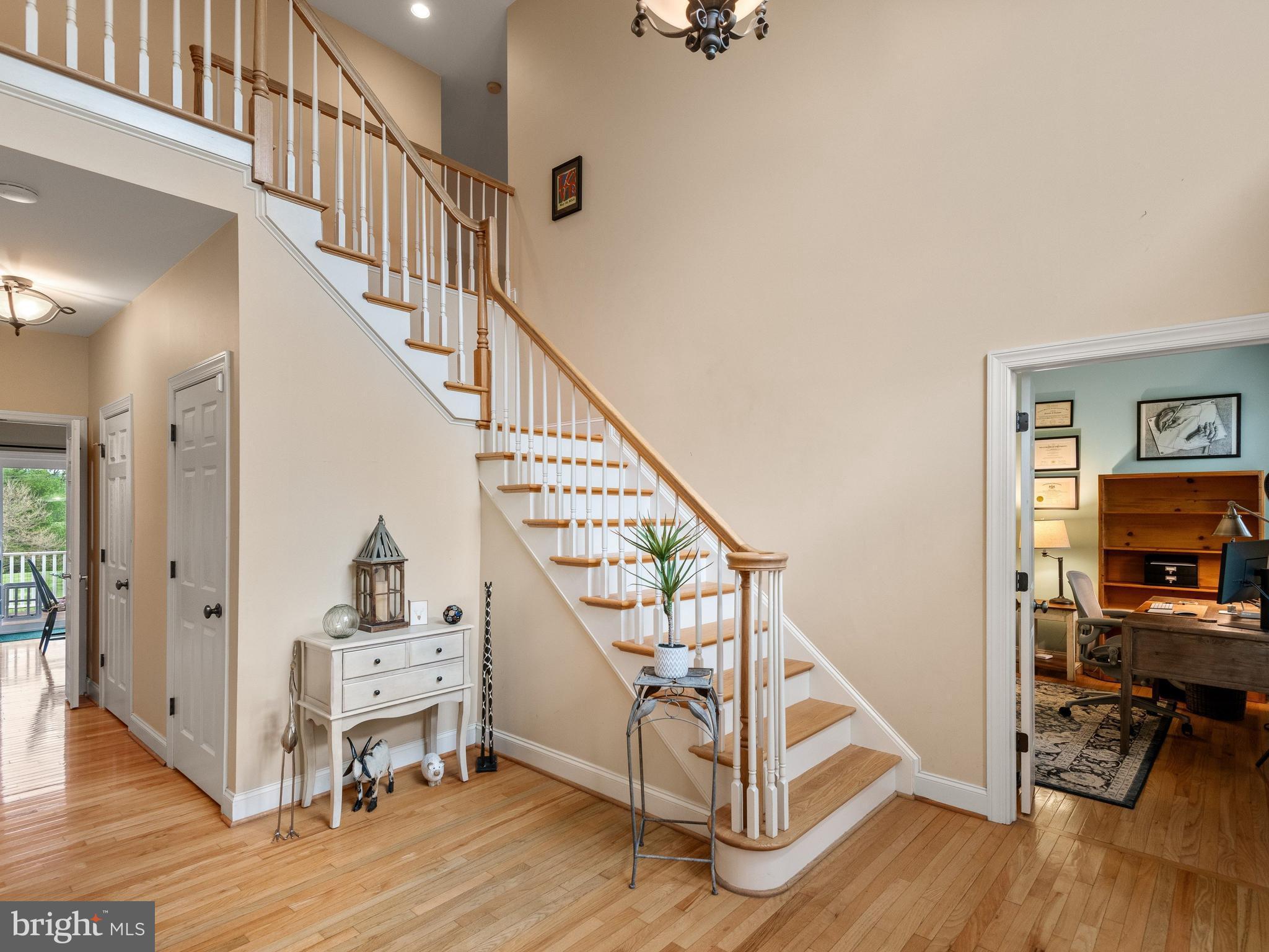 FRANKLIN CHASE - Residential