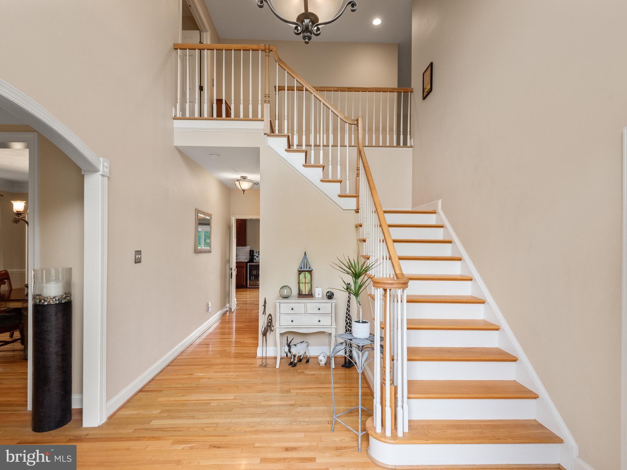 FRANKLIN CHASE - Residential