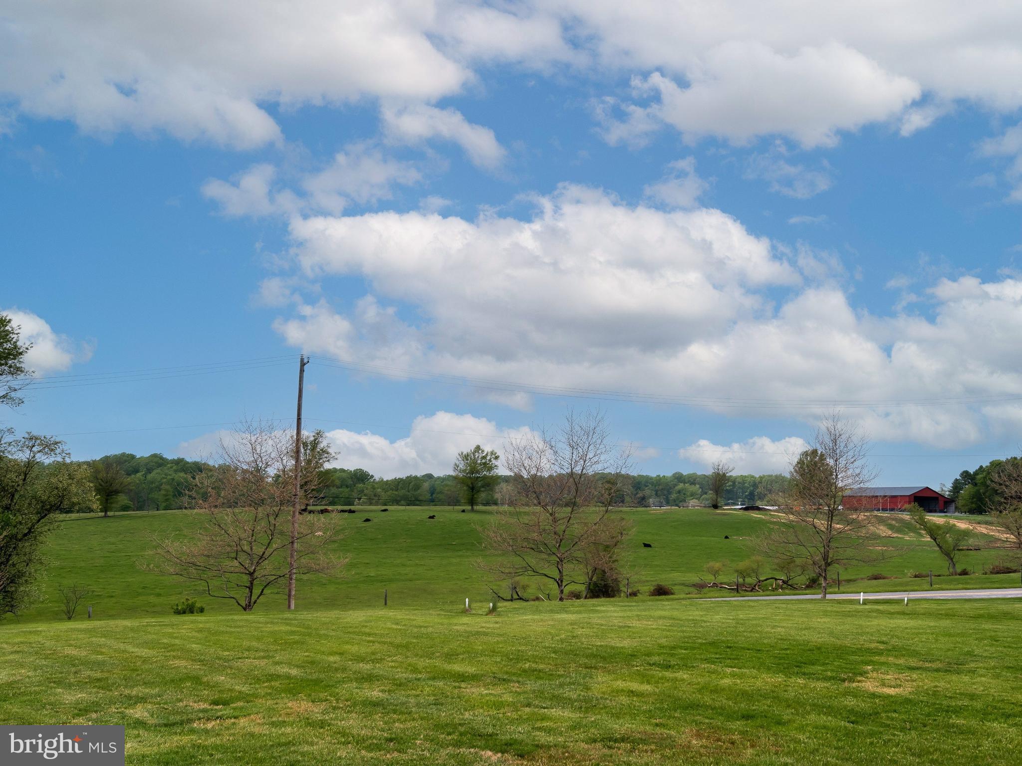 FRANKLIN CHASE - Residential