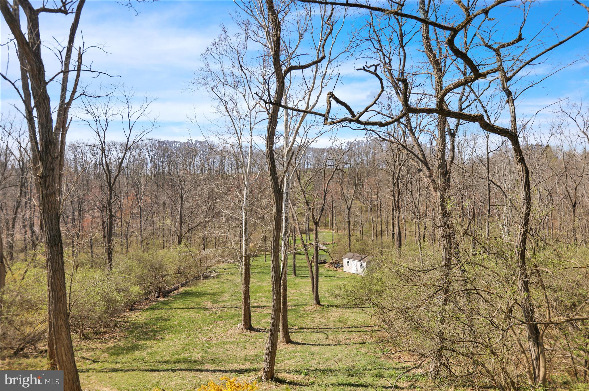 241 BLOSSOM COURT