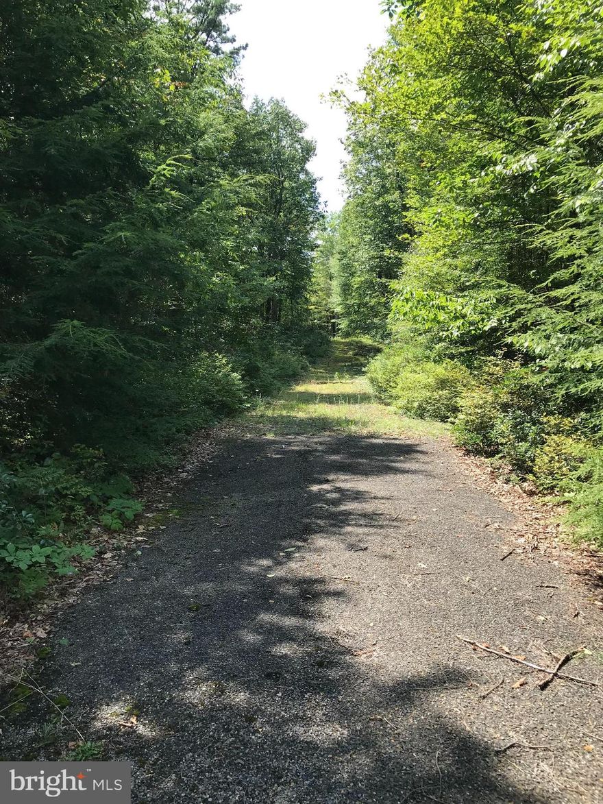 Nice 1 acre on private Cul-Da-Sac. Located in Hickory Run Forest.