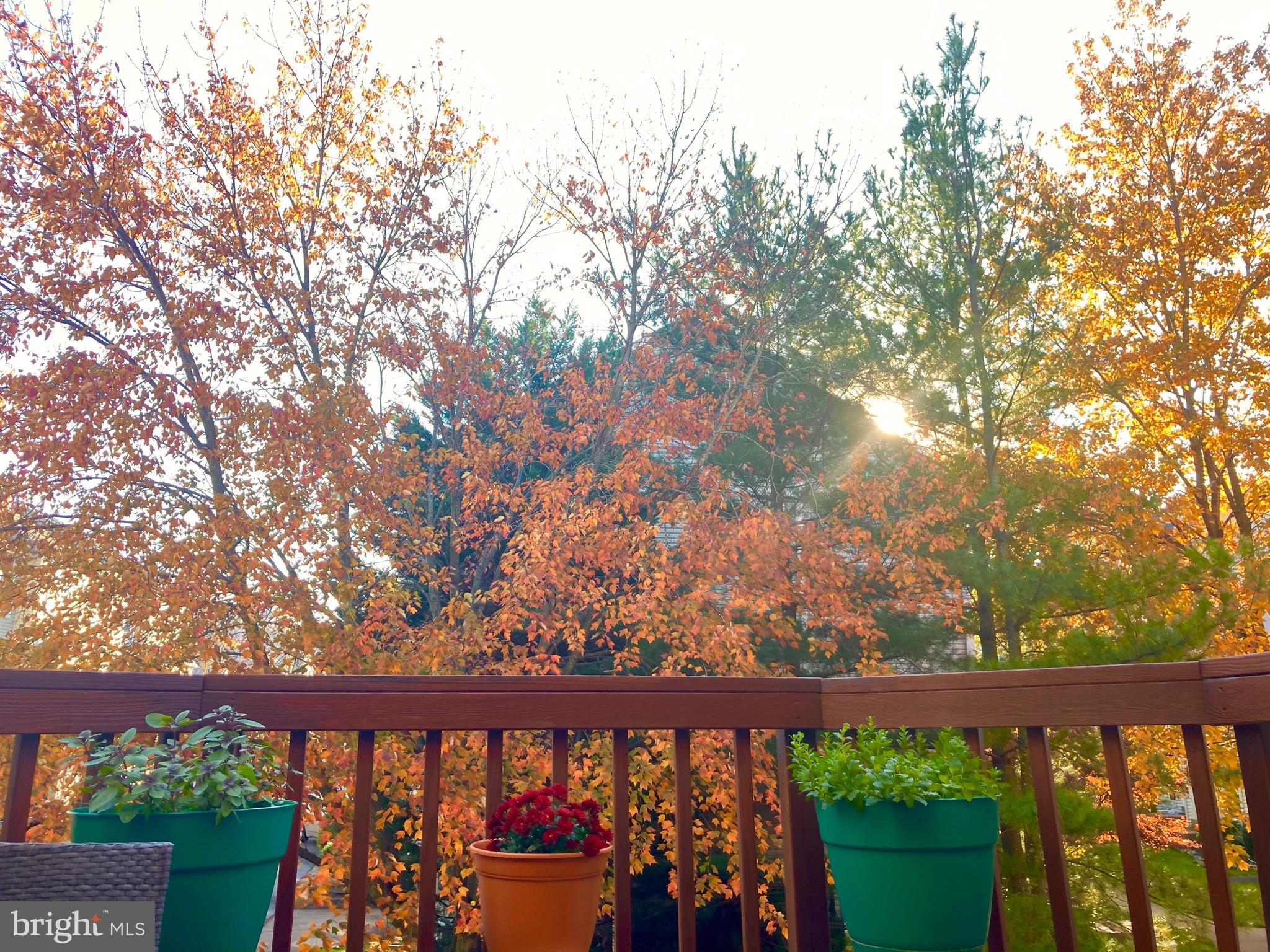 RANDOM HILLS LAND BAY - Residential