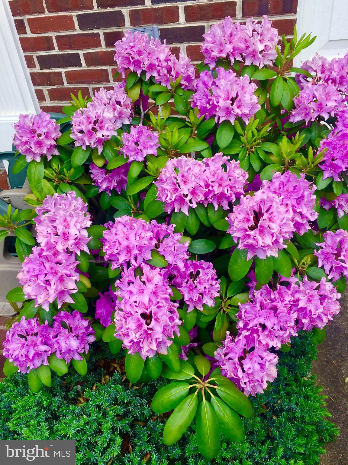 RANDOM HILLS LAND BAY - Residential