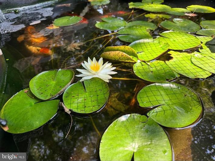 KINGS CHARTER - Residential